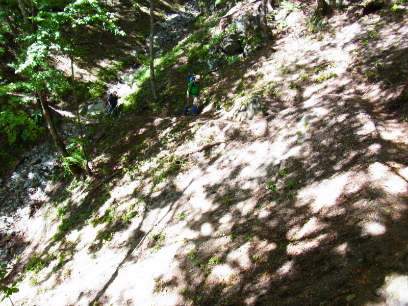 b0190242_23154593.jpg