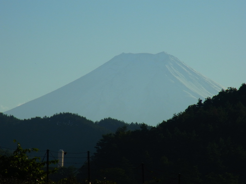 b0190242_23174465.jpg