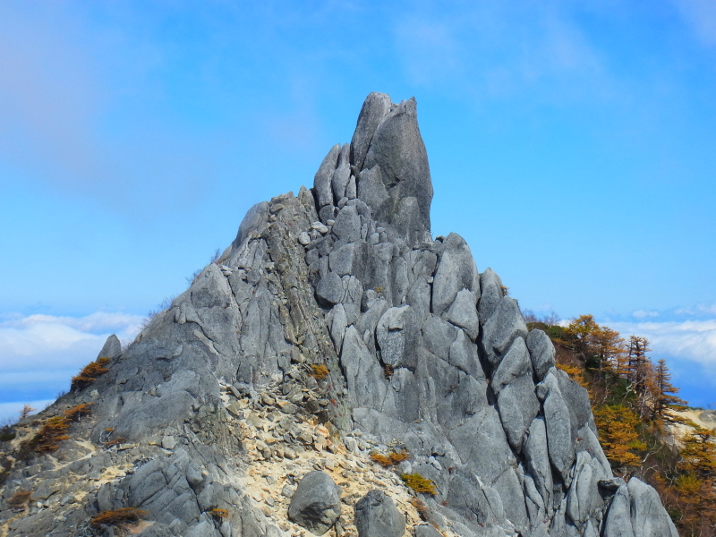 b0190242_231982.jpg