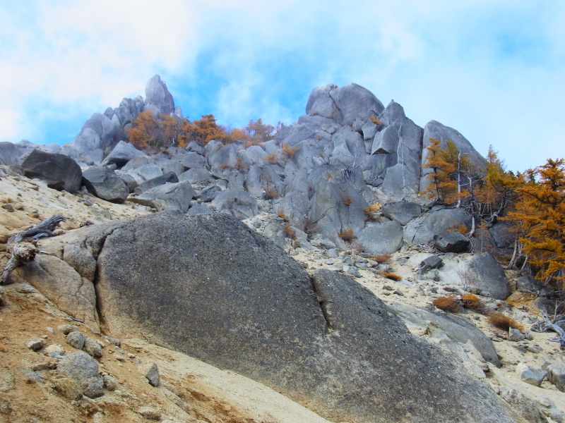 b0190242_2361462.jpg