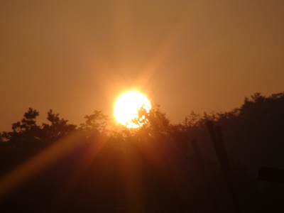 a0259943_85369.jpg
