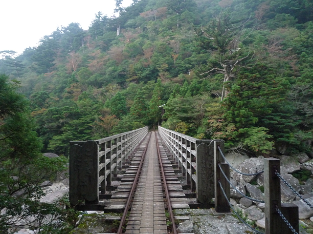 e0043548_1081133.jpg