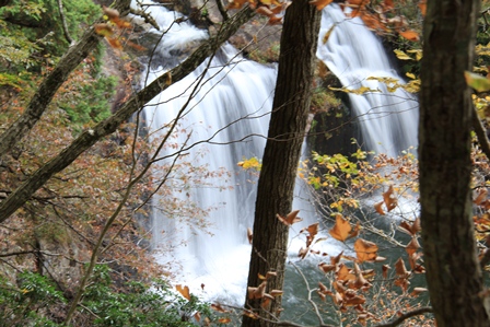 d0163550_1961750.jpg