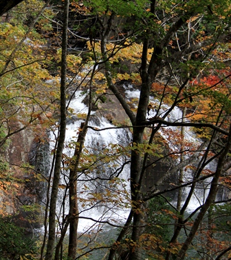 d0163550_2183833.jpg
