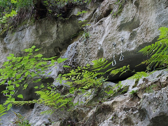 d0128465_17482183.jpg