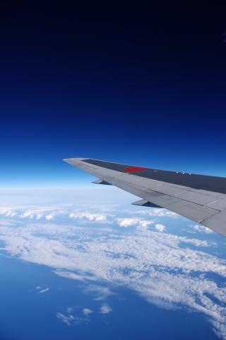 e0045768_2233185.jpg