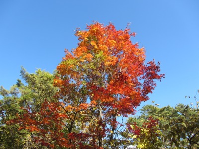 b0203370_1811374.jpg