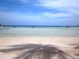 c0039073_15204214.jpg