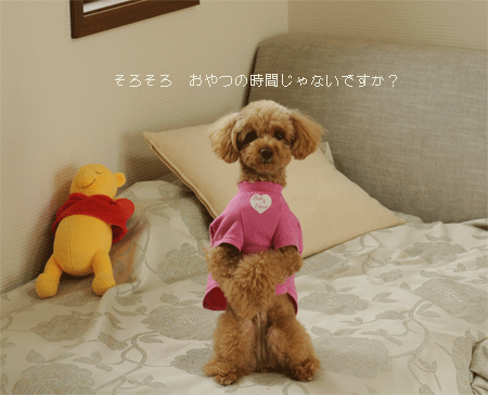 c0196673_1481235.gif