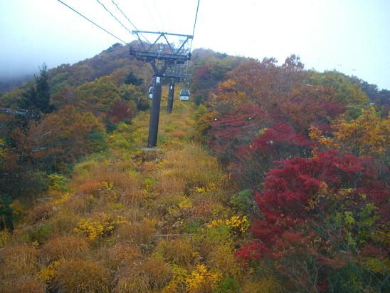 e0240973_21221719.jpg