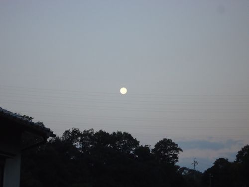 e0264374_12375242.jpg
