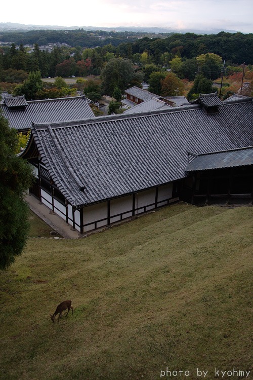 b0280176_1521325.jpg