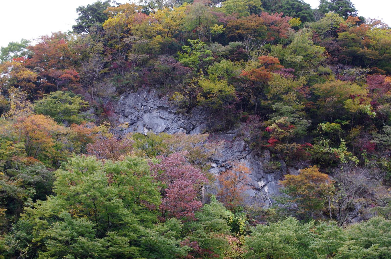 c0177576_2148293.jpg