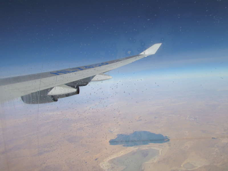 c0183777_1864233.jpg