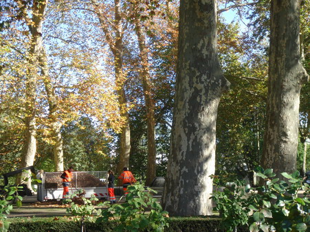 a0247585_7345092.jpg