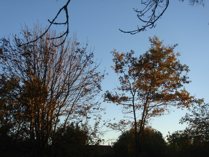 a0247585_7411935.jpg