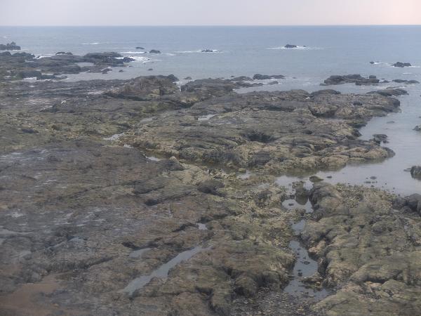 c0046587_21443240.jpg