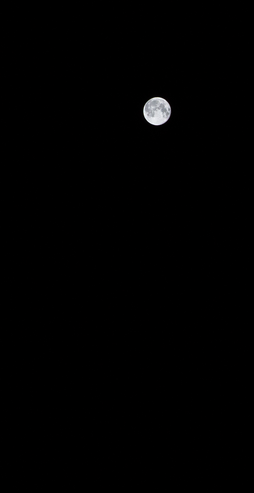 a0185693_634526.jpg