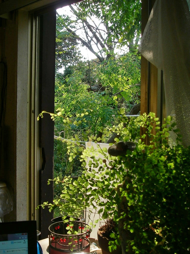 d0046294_882449.jpg