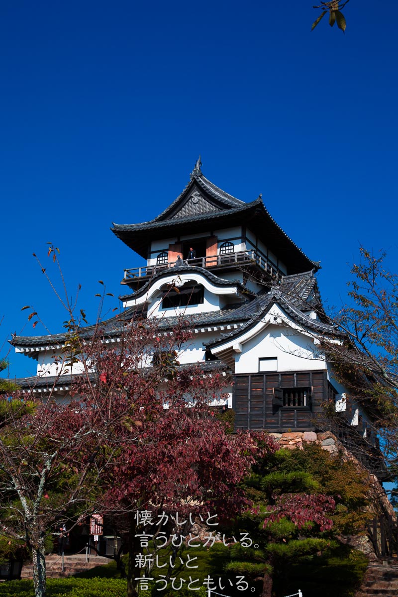 f0220502_20112487.jpg