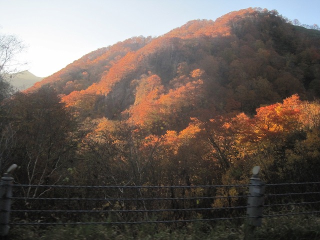 f0202703_2222413.jpg