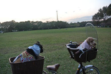 a0134004_1314447.jpg