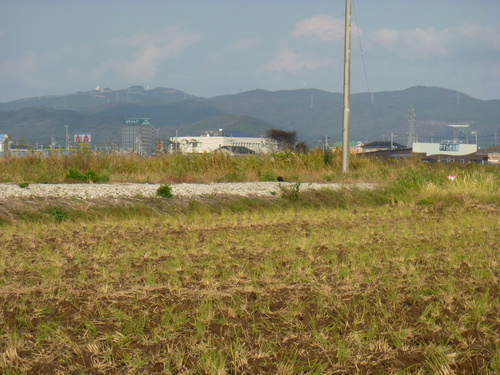 b0283404_1605442.jpg