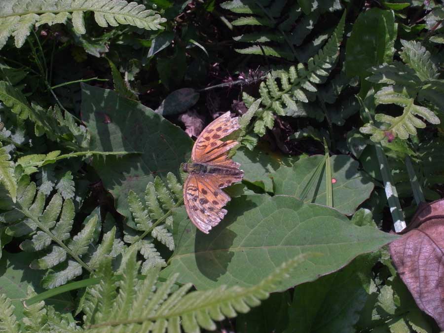 e0253104_17591597.jpg