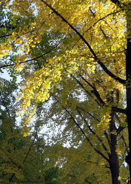 c0148705_21122649.jpg