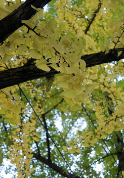 c0148705_2193261.jpg
