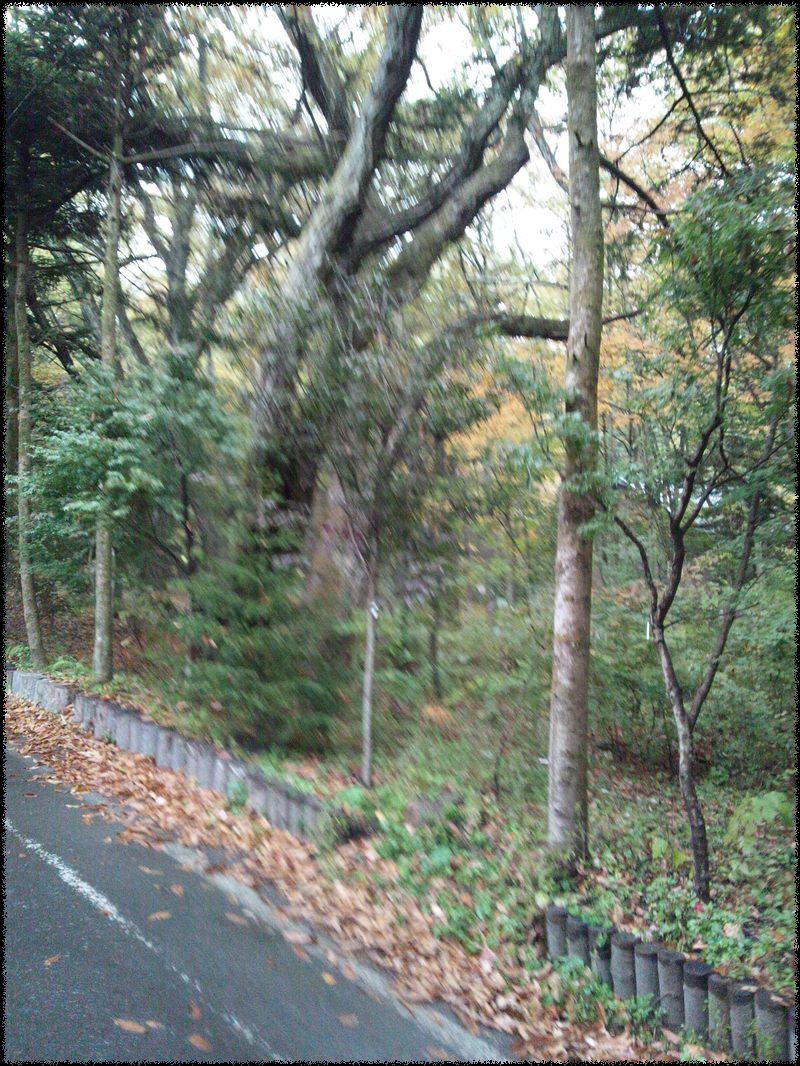 e0246708_22175890.jpg