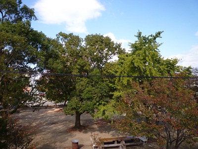 a0156611_19492286.jpg