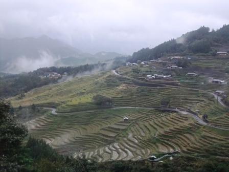 d0007913_20493717.jpg