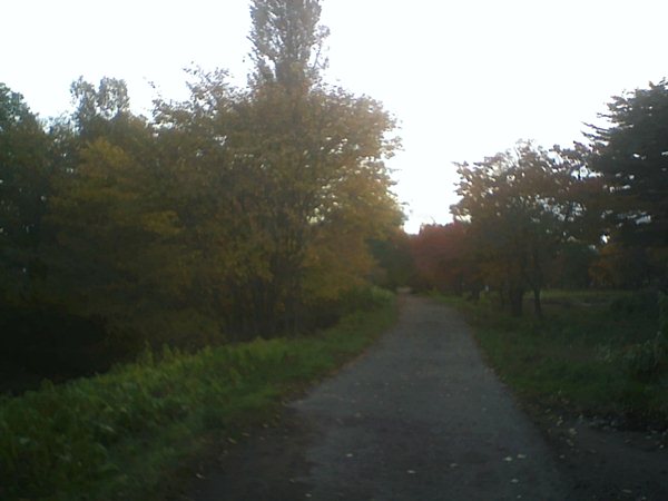 a0109914_227214.jpg