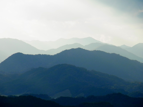 e0083517_163531.jpg