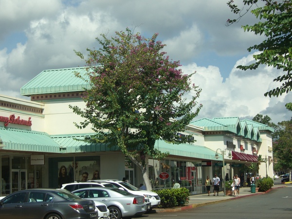 d0195419_8522724.jpg