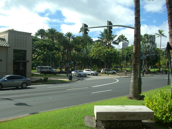 d0195419_984347.jpg