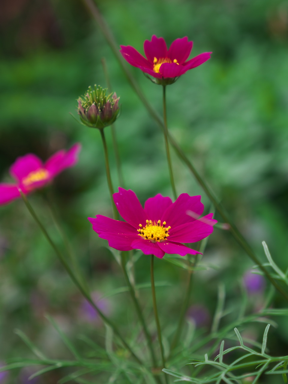 b0093625_11255570.jpg