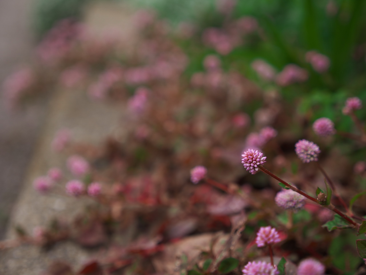 b0093625_11281852.jpg
