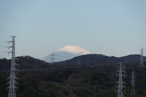 a0161427_17412781.jpg