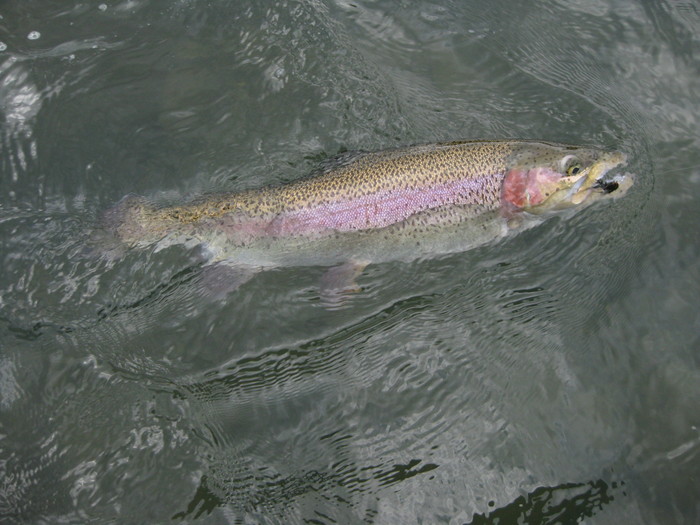 f0090131_12425793.jpg
