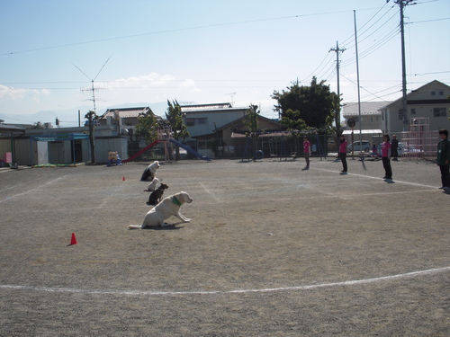 c0114833_18422568.jpg