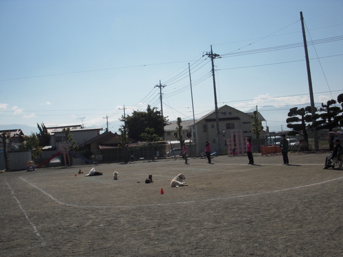 c0114833_18434596.jpg