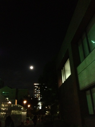 c0133533_2333641.jpg