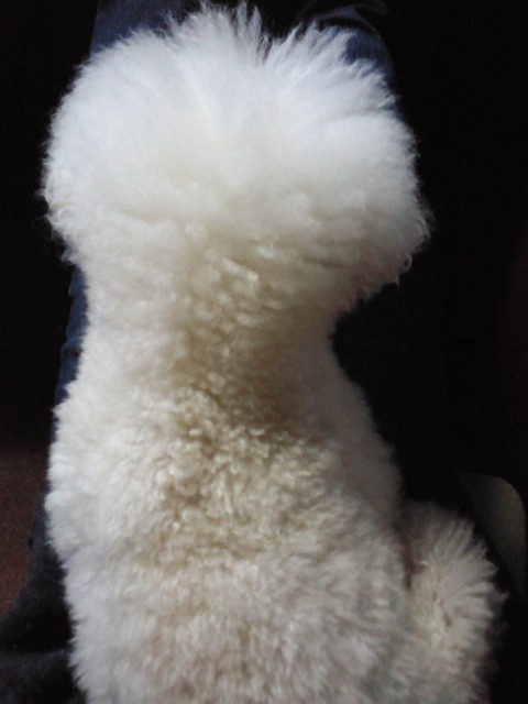 c0117239_1119553.jpg