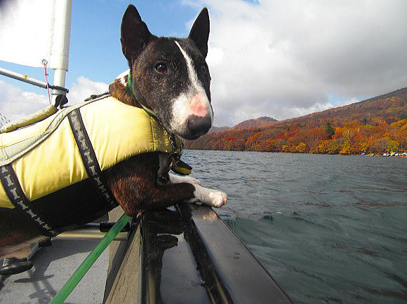 f0094843_20102438.jpg