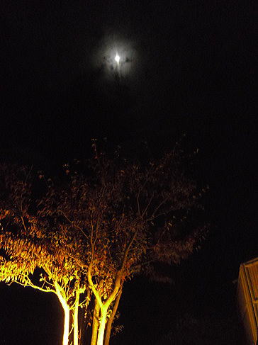 f0094843_2118963.jpg