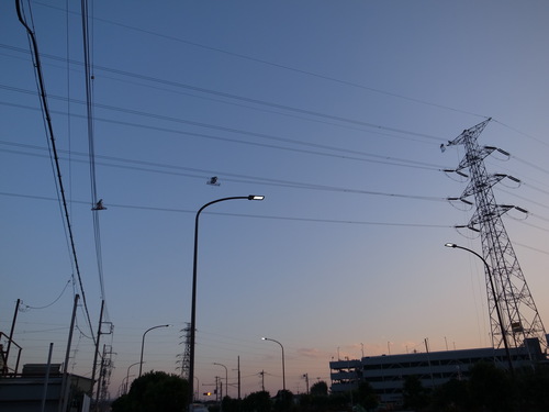 d0134147_18545932.jpg