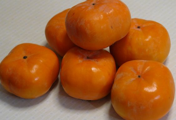 f0191248_1415921.jpg
