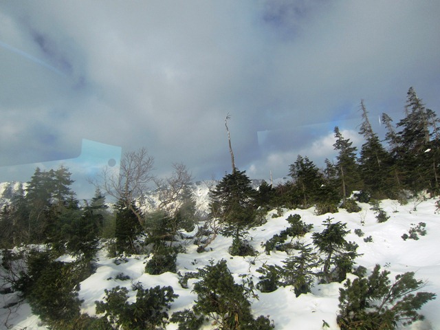 b0289649_15404186.jpg